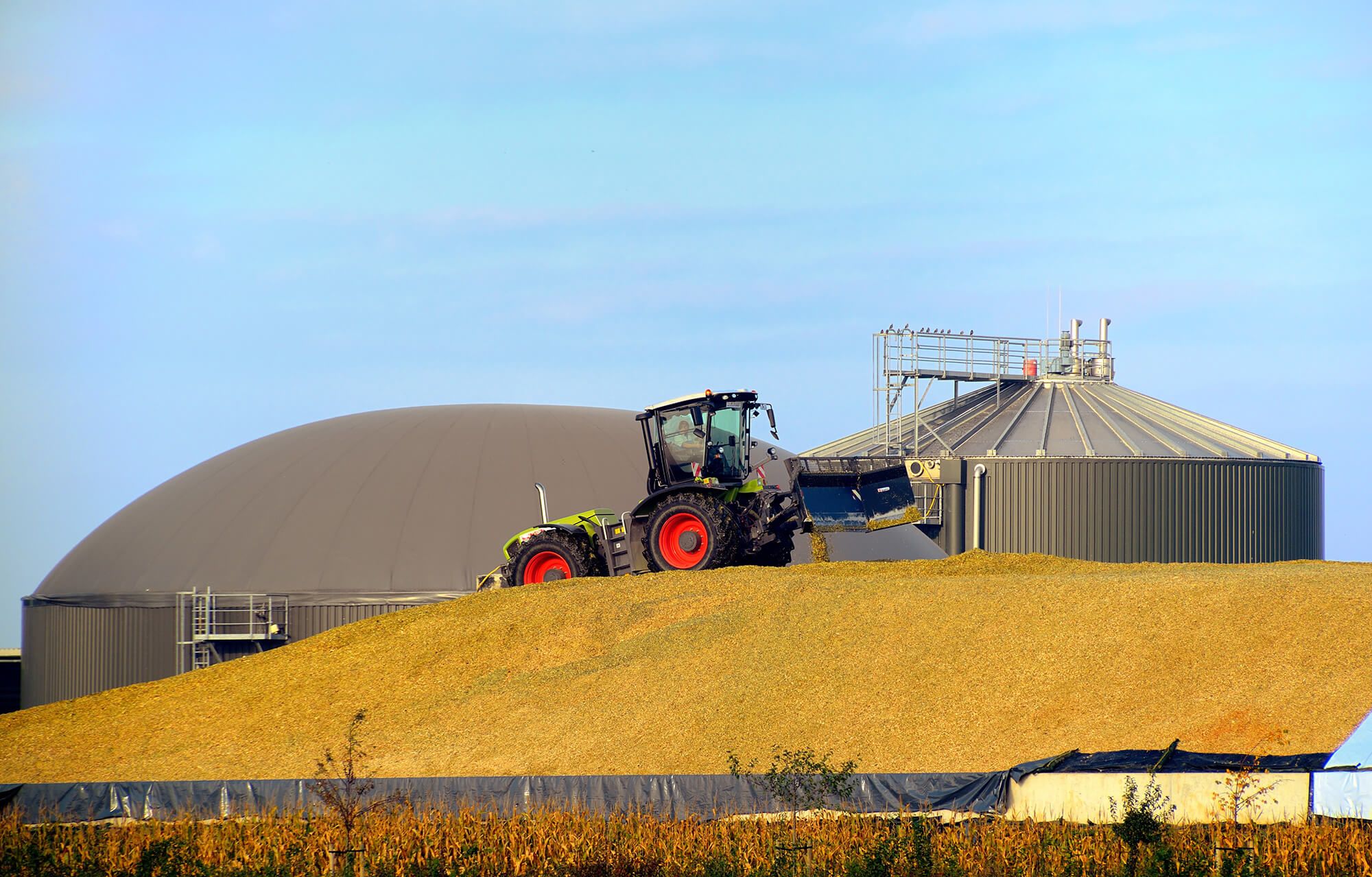 Maissilage